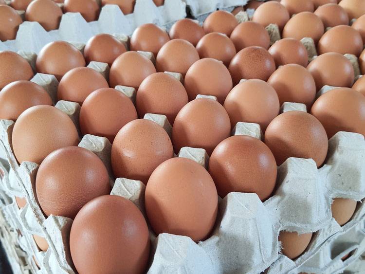 Egg prices keep rising under "Supajee-Anutin" era! Another 20-satang-per-egg hike announced