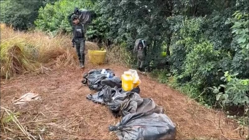 (Clip) Gunfire Erupts in Rubber Plantation! Cavalry Soldiers Clash with Drug-Smuggling Gang Crossing River into Chiang Saen Border Area in the Dead of Night — Another Nearly 2 Million Pills Seized