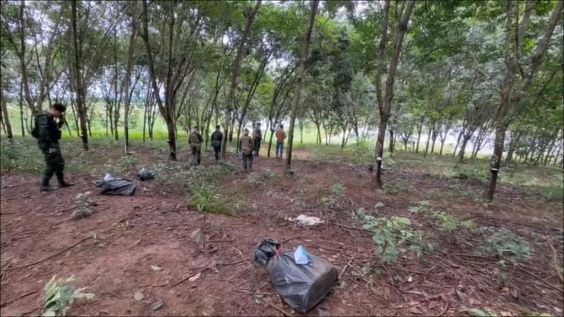 (Clip) Gunfire Erupts in Rubber Plantation! Cavalry Soldiers Clash with Drug-Smuggling Gang Crossing River into Chiang Saen Border Area in the Dead of Night — Another Nearly 2 Million Pills Seized