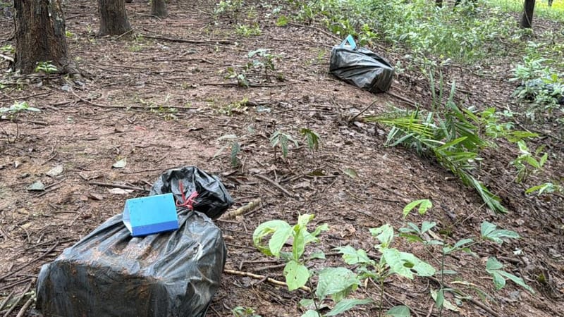 (Clip) Gunfire Erupts in Rubber Plantation! Cavalry Soldiers Clash with Drug-Smuggling Gang Crossing River into Chiang Saen Border Area in the Dead of Night — Another Nearly 2 Million Pills Seized