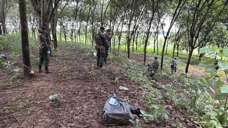 (Clip) Gunfire Erupts in Rubber Plantation! Cavalry Soldiers Clash with Drug-Smuggling Gang Crossing River into Chiang Saen Border Area in the Dead of Night — Another Nearly 2 Million Pills Seized