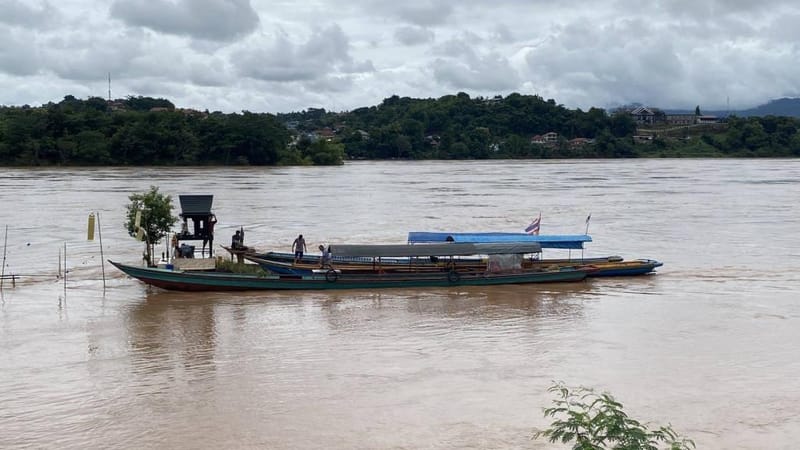 Mekong River Rising Along Entire Golden Triangle Basin! Water Surpasses Surveillance Level from Chiang Saen to Wiang Kaen — "Pha Than Shrine" Already Moved Ashore