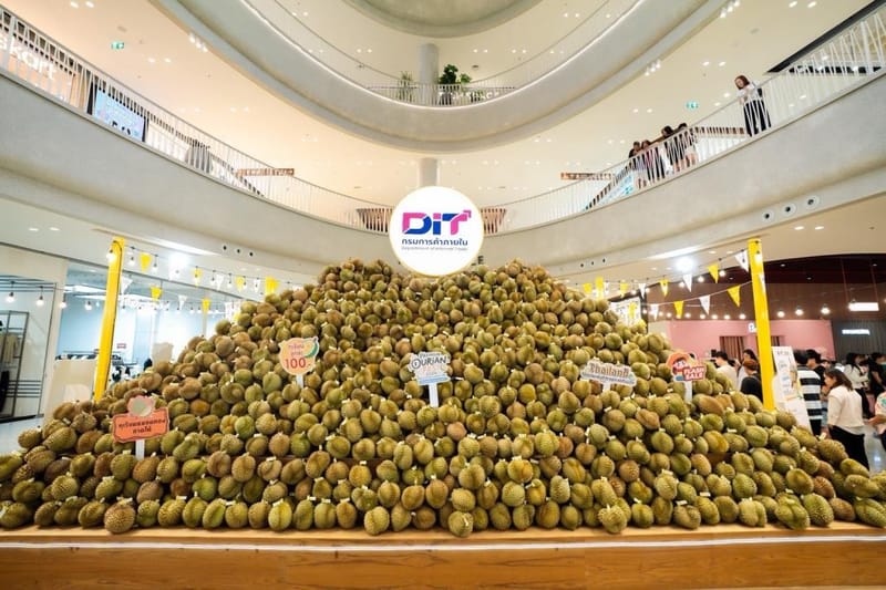 Department of Internal Trade Invites Public to Taste Thai Durian at "Thailand Durian Festival 2026," Accelerating Distribution and Adding Sales Channels to Help Farmers Earn Income — Expected Spending to Exceed 20 Million Baht