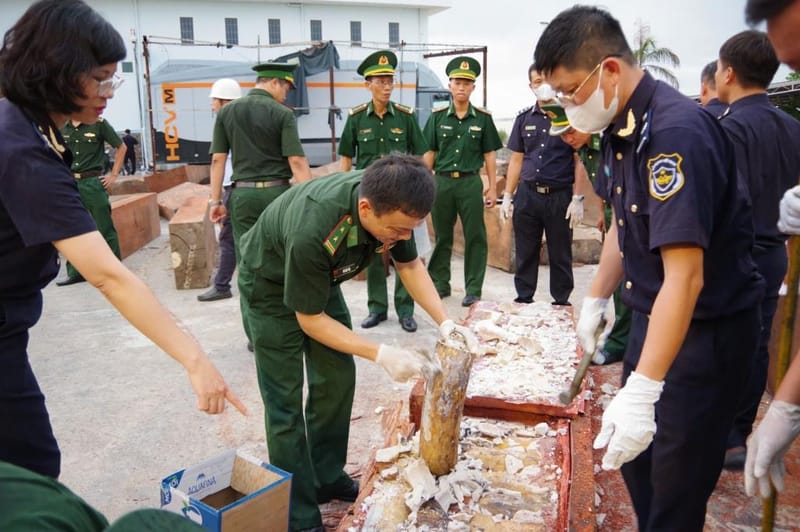 Vietnam seizes large haul of over 200 ivory tusks hidden in processed timber smuggled from Africa