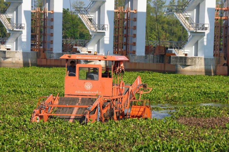 "Witthaya" orders nationwide push to eradicate water hyacinth, clear waterways, and boost water management efficiency simultaneously across the country