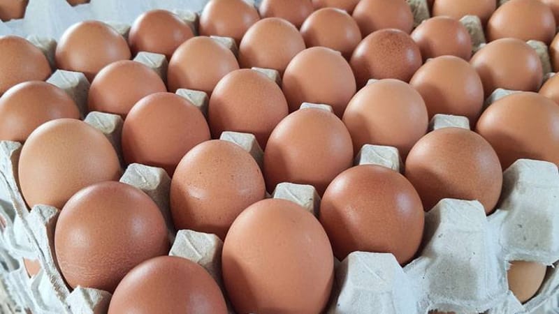 Egg prices keep rising under "Supajee-Anutin" era! Another 20-satang-per-egg hike announced
