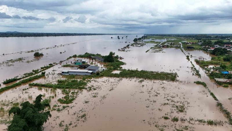 (Clip) Mekong overflows banks in Ban Phaeng! More than 30 homes flooded — over 1,000 rai of farmland submerged, ranger soldiers mobilize to help villagers