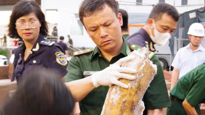 Vietnam seizes large haul of over 200 ivory tusks hidden in processed timber smuggled from Africa